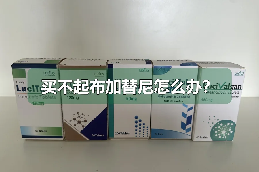 买不起布加替尼怎么办?