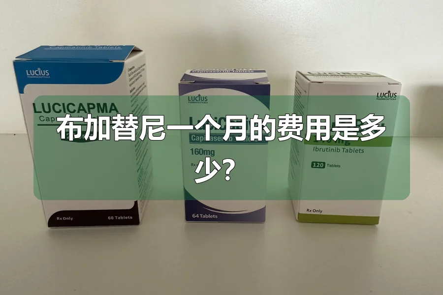 布加替尼一个月的费用是多少?